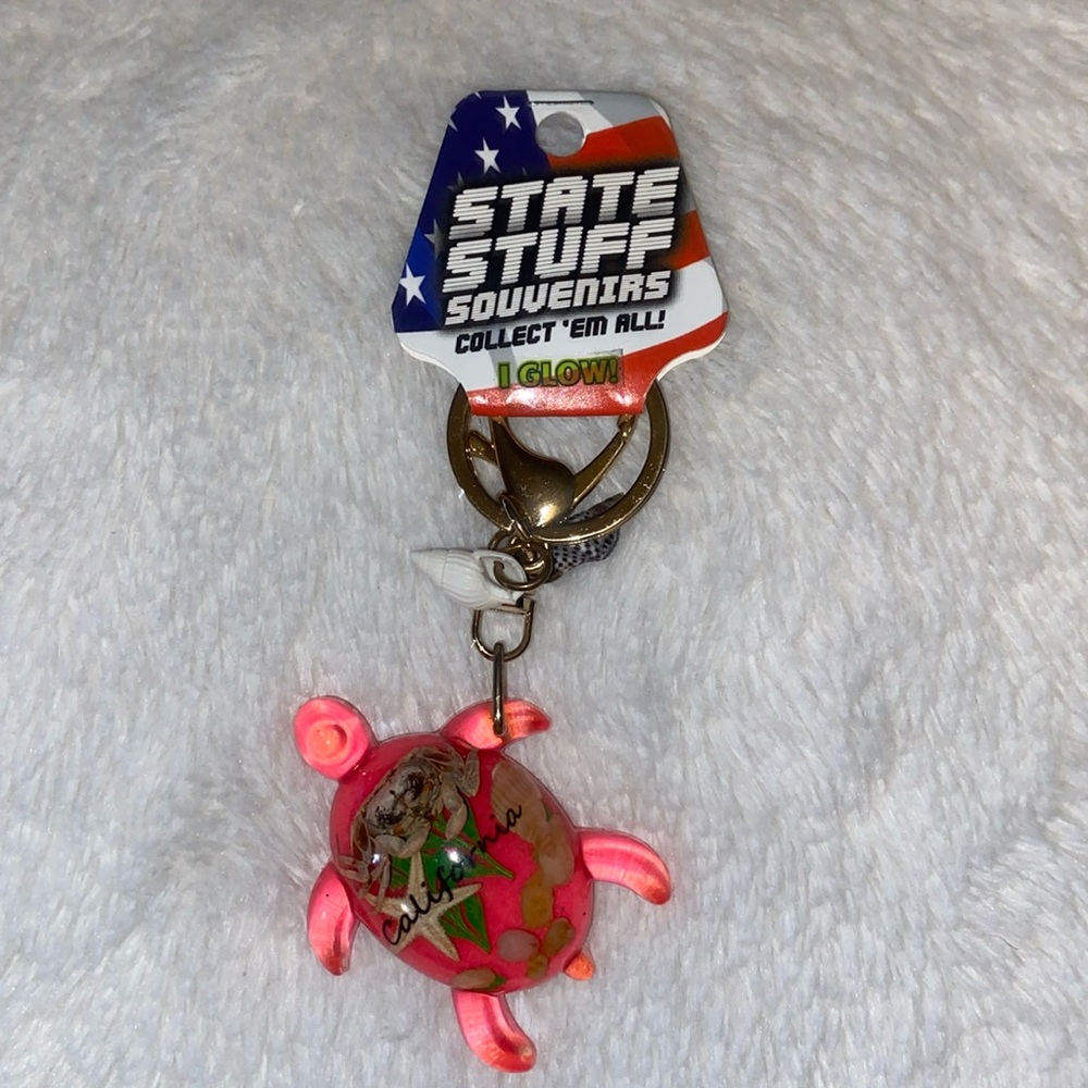 California turtle souvenir keychain